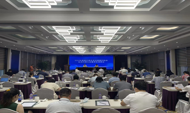 协会2022年度会员代表大会暨常务理事会 在杭顺利召开